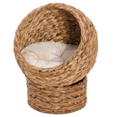Kozy - Wicker Cat Bed, Raised Rattan Cat Basket with Cylindrical Base, Soft Washable Cushion, 40 x 37 x 51 cm - Brown