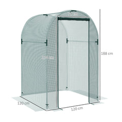 Kozy - 120 x 120cm Mini Polytunnel Greenhouse