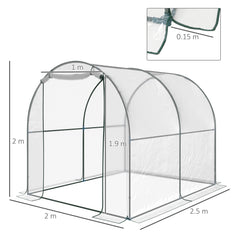 Kozy Walk-in Polytunnel Greenhouse with Roll-up Door Transparent Tunnel Greenhouse with Steel Frame and PVC Cover, 2.5 x 2m