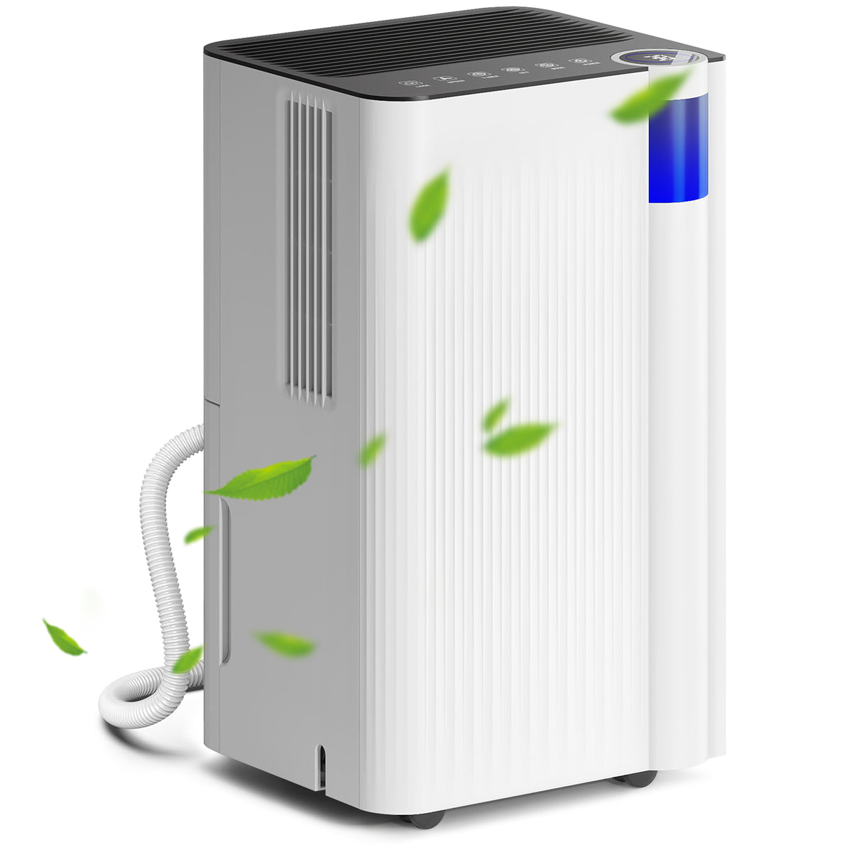 Kozy - 12L/Day Dehumidifier with Continuous Drainage, 2L Water Tank, 24H Timer, Digital Humidity Display, Filter, Auto Defrost, Children Lock, for Bedroom, Dehumidifier for Home Damp, Laundry Drying