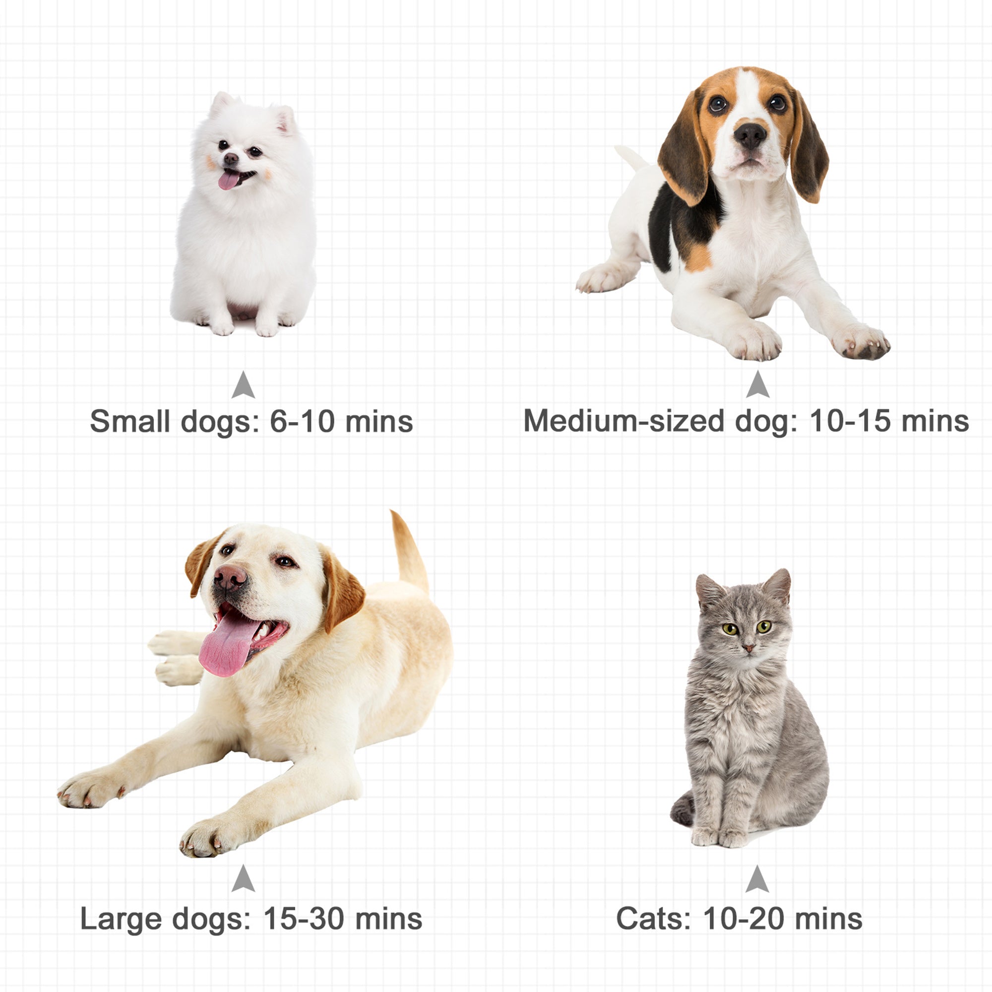 Kozy Dog Hair Dryer Pet Grooming Blaster Dryer Blower Adjustable Temperature Speed with 2.1M Flexible Hose 3 Nozzles - Black