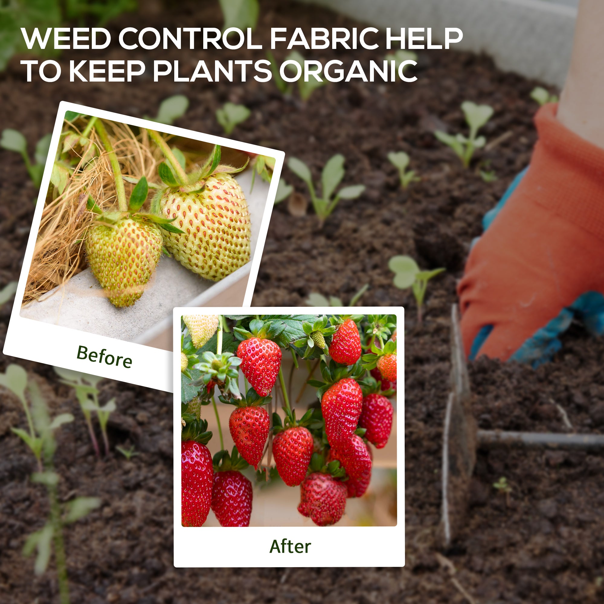 Kozy - 2m x 100m Heavy Duty Weed Control Membrane, Weed Membrane for Landscaping Driveway Gravel Artificial Grass Lawn Underlay, Black