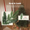 5ft Artificial Christmas Tree with Realistic Branches, Easy Assembly