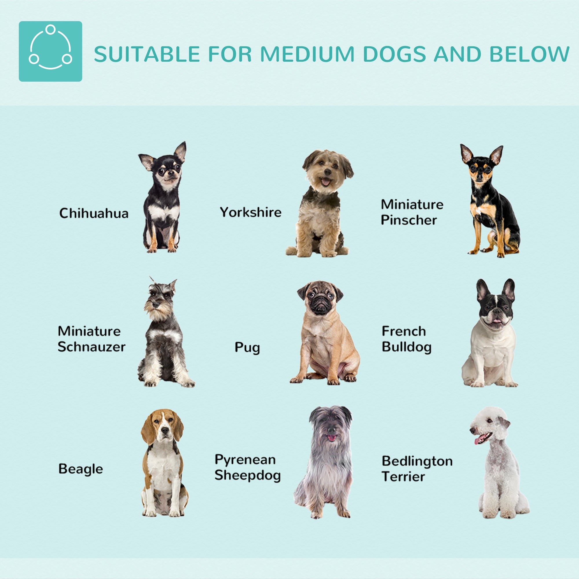 Kozy Adjustable Pet Grooming Arm, with Clamp, Haunch Holders & Grooming Loop - Sliver-Tone