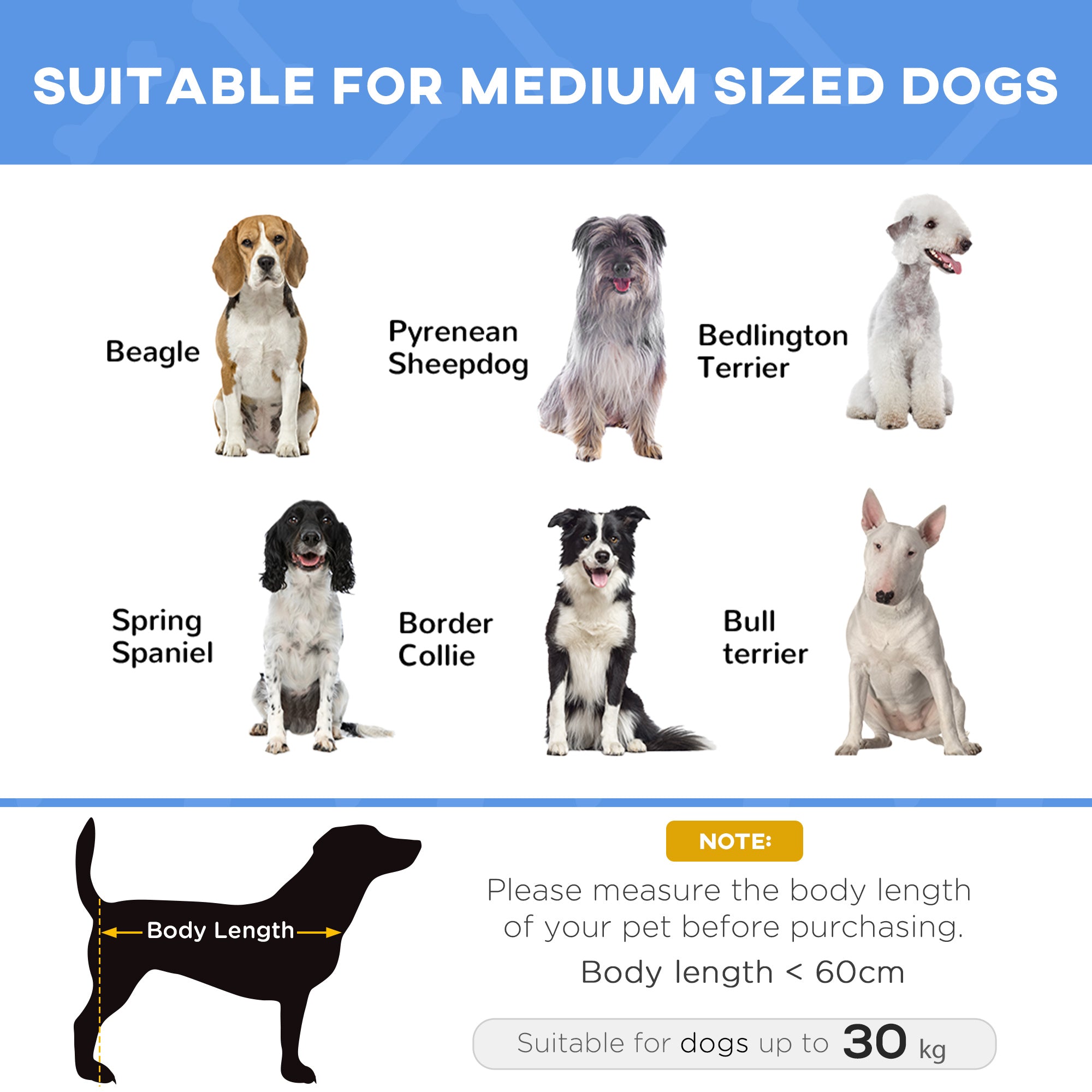 Kozy Raised Dog Bed Cat Elevated Lifted Portable Camping w/ Metal Frame Blue (Large)