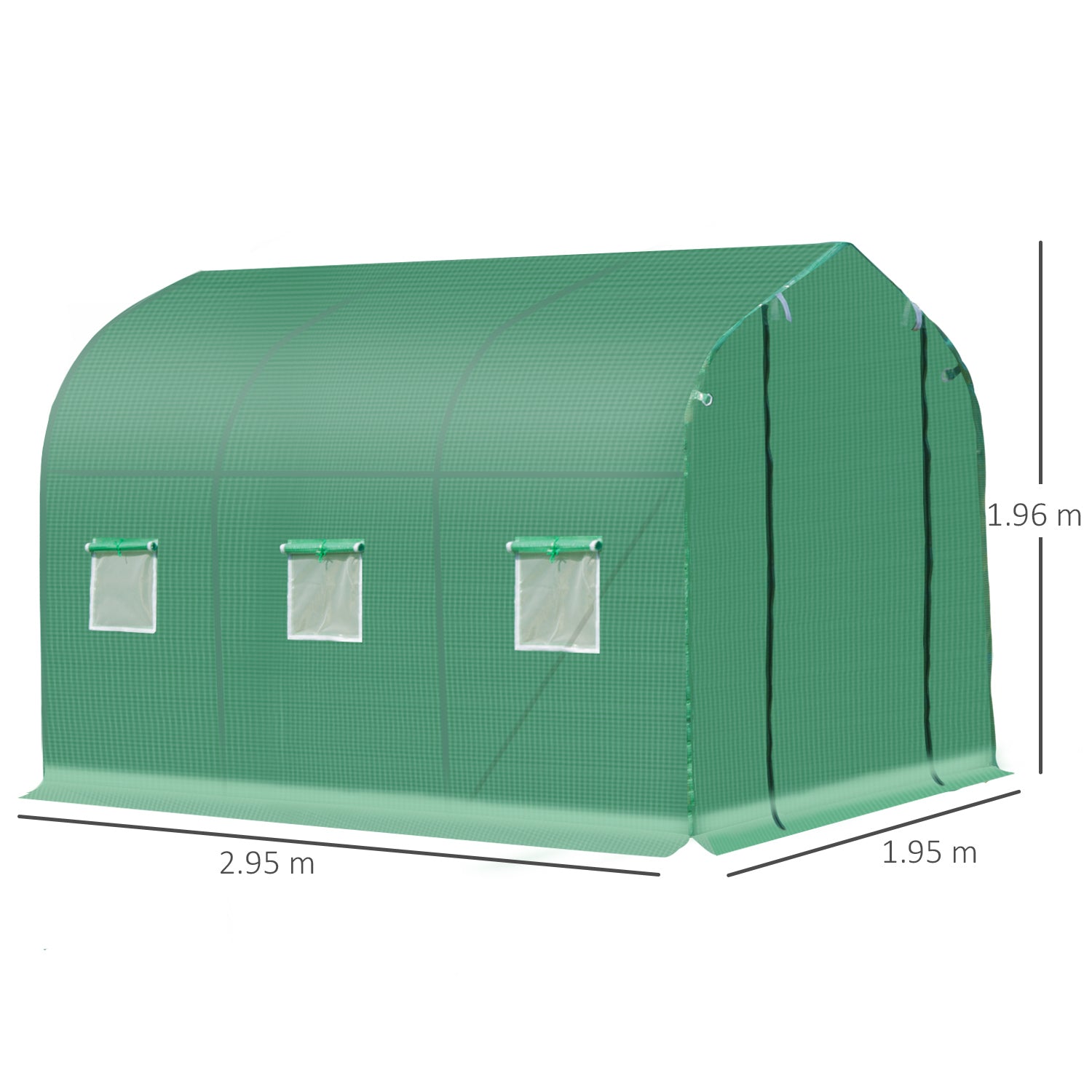 Kozy Polytunnel Greenhouse with Windows and Door, Walk in Greenhouse for Garden, Backyard (3 x 2 M)