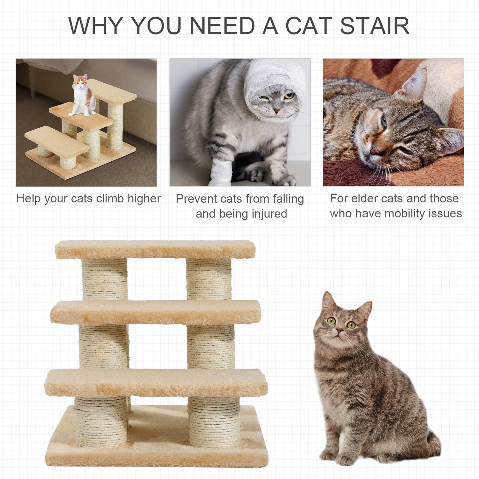 PawHut Pet Steps, 3