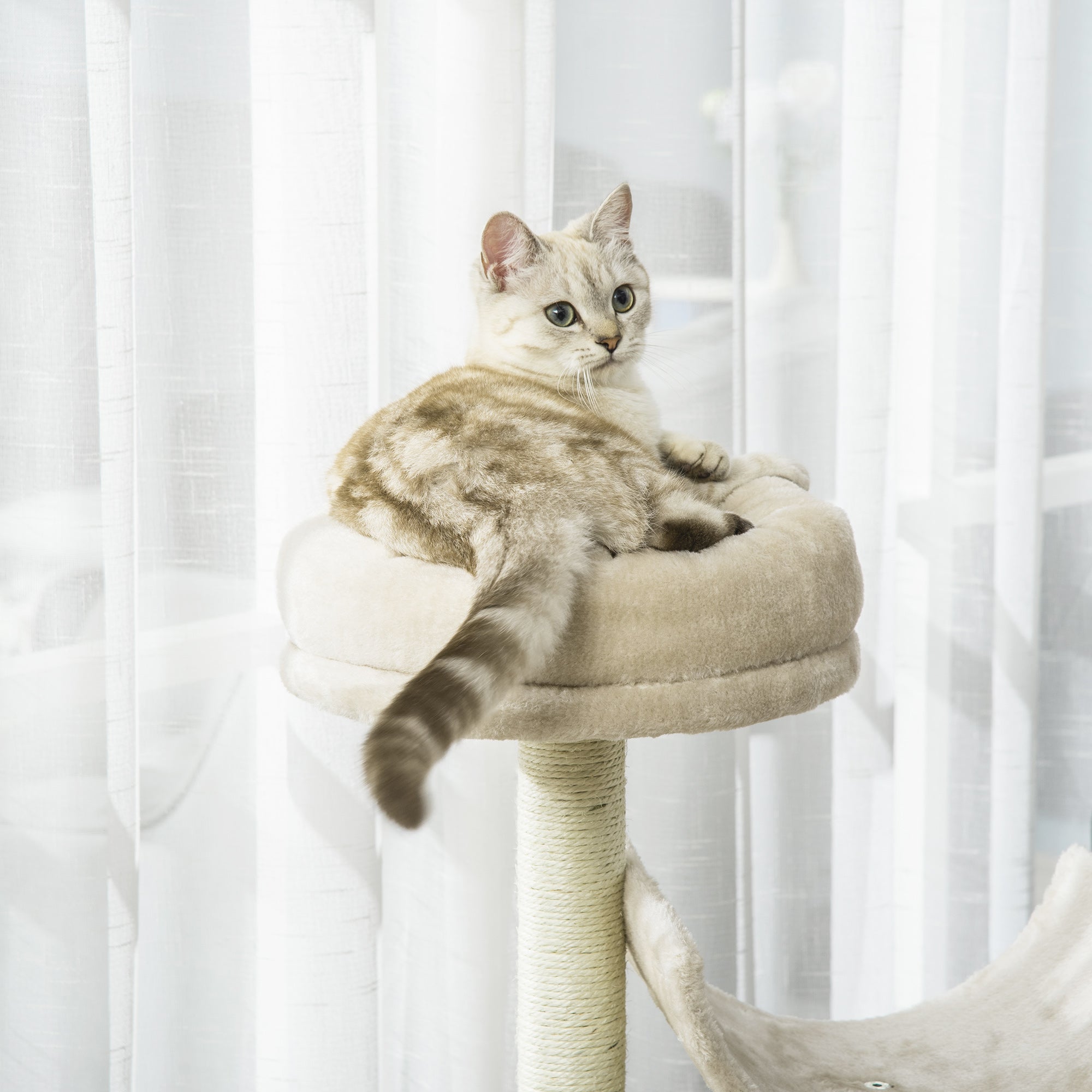 PawHut Cat Tree, Plush, 50Lx40Wx105H cm