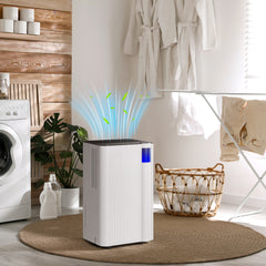 Kozy - 12L/Day Dehumidifier with Continuous Drainage, 2L Water Tank, 24H Timer, Digital Humidity Display, Filter, Auto Defrost, Children Lock, for Bedroom, Dehumidifier for Home Damp, Laundry Drying