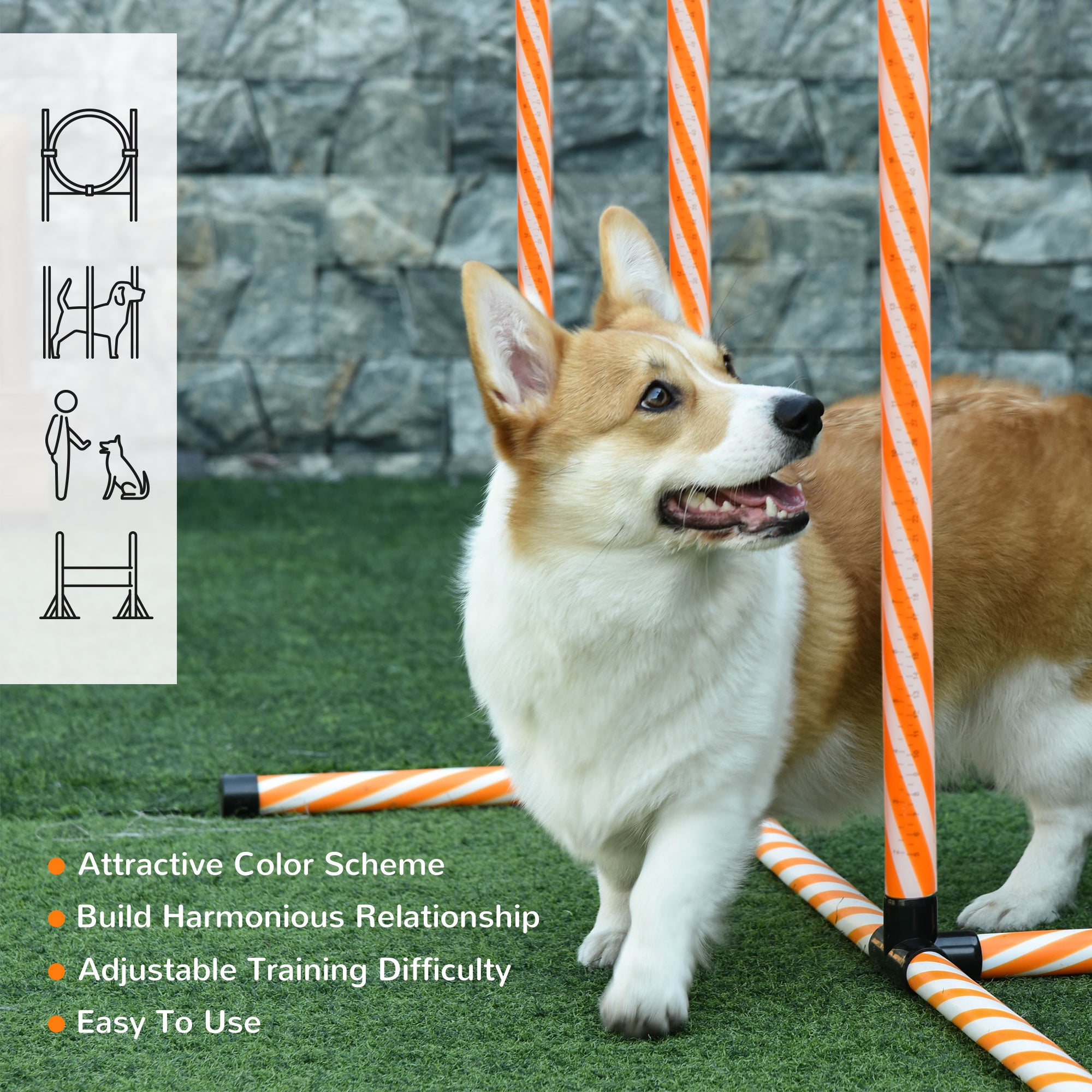 Kozy Dog Agility Equipment Pet Training Set with Adjustable Height Jump Ring Hurdle Whistle Weave Poles Square Pause Box Carry Bag