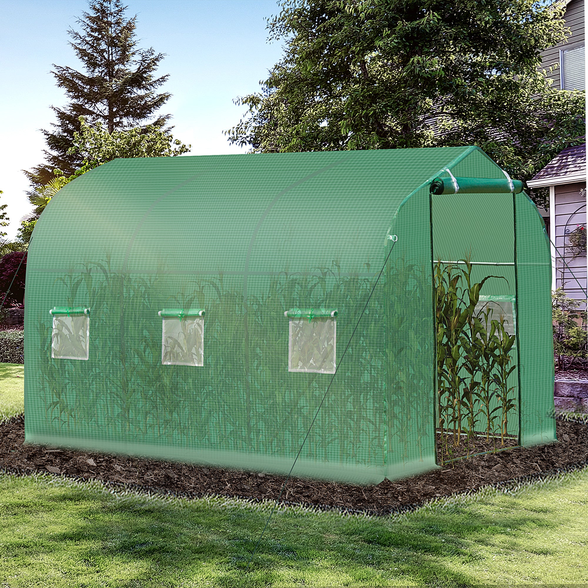Kozy Polytunnel Greenhouse with Windows and Door, Walk in Greenhouse for Garden, Backyard (3 x 2 M)