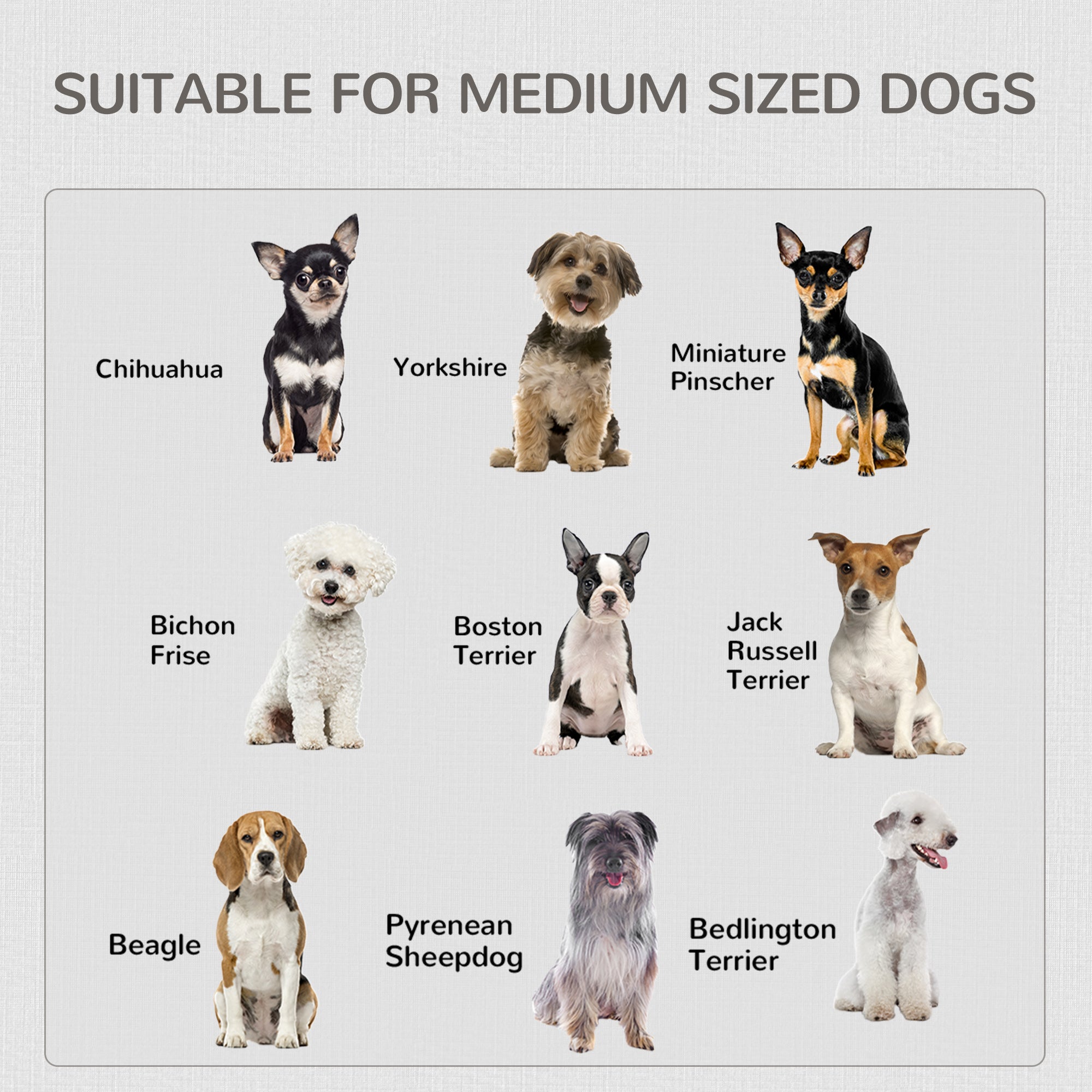 Kozy 2-in-1 Dog Cage and Side Table, with Two Lockable Doors, for Medium Dogs - White