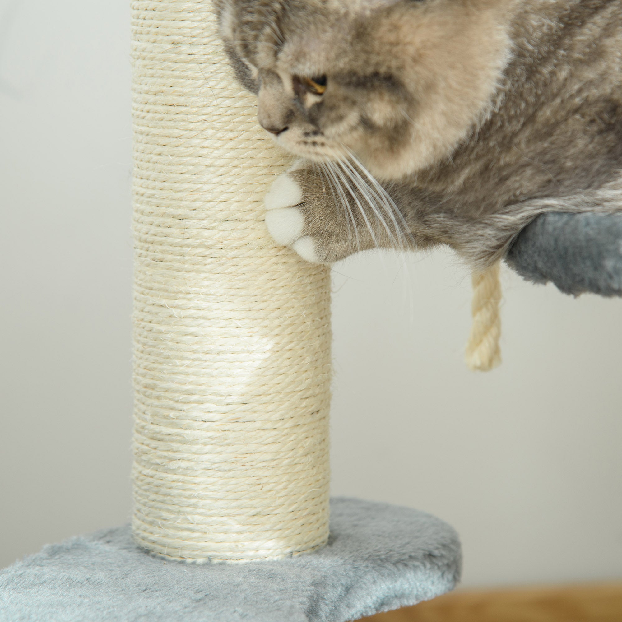 PawHut Cat Tree 65 cm, Kitty Scratcher, Kitten Activity Centre with 2 Perches & Hanging Sisal Rope, Grey