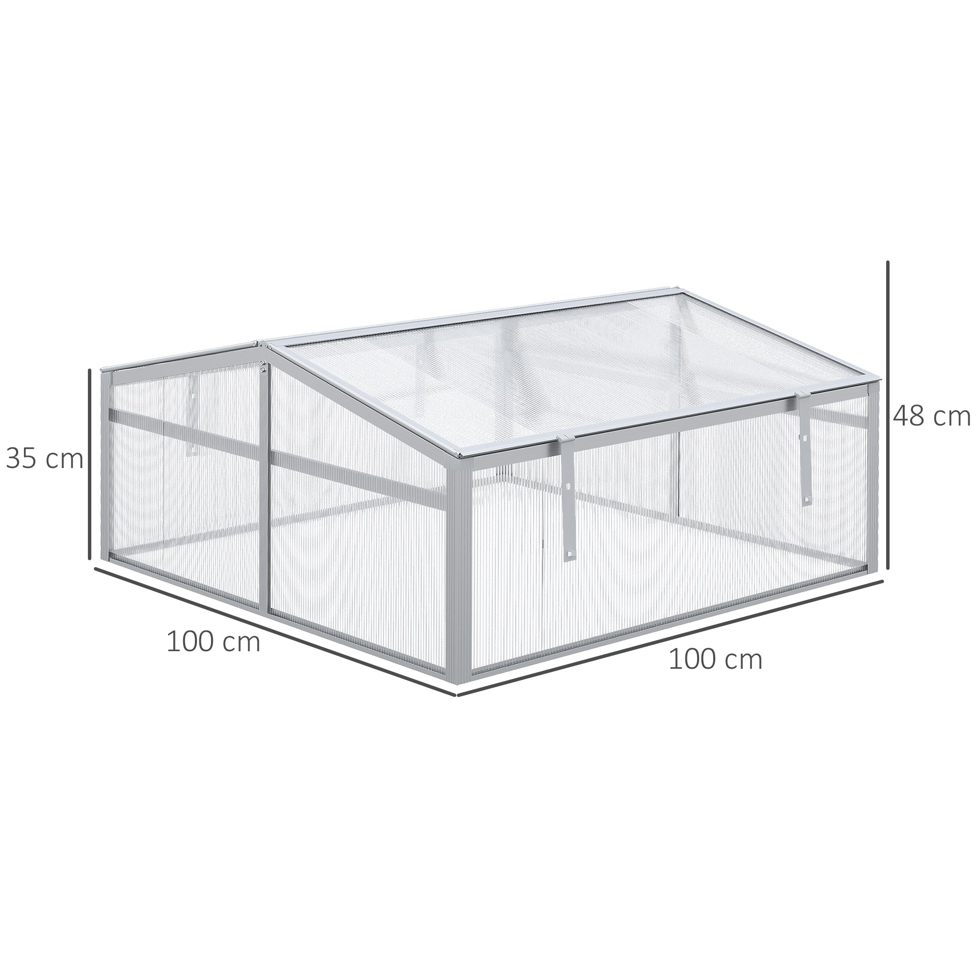 Outsunny Polycarbonate Greenhouse, Aluminium Frame, Grow House for Flowers Vegetables, 100 x 100 x 48 cm