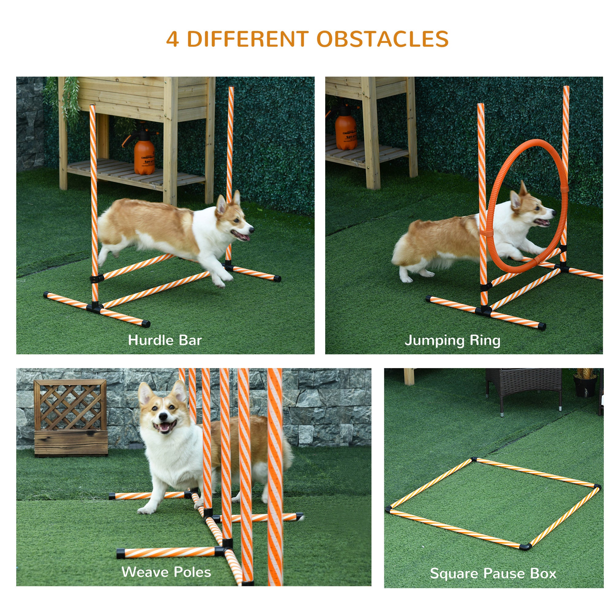Kozy Dog Agility Equipment Pet Training Set with Adjustable Height Jump Ring Hurdle Whistle Weave Poles Square Pause Box Carry Bag