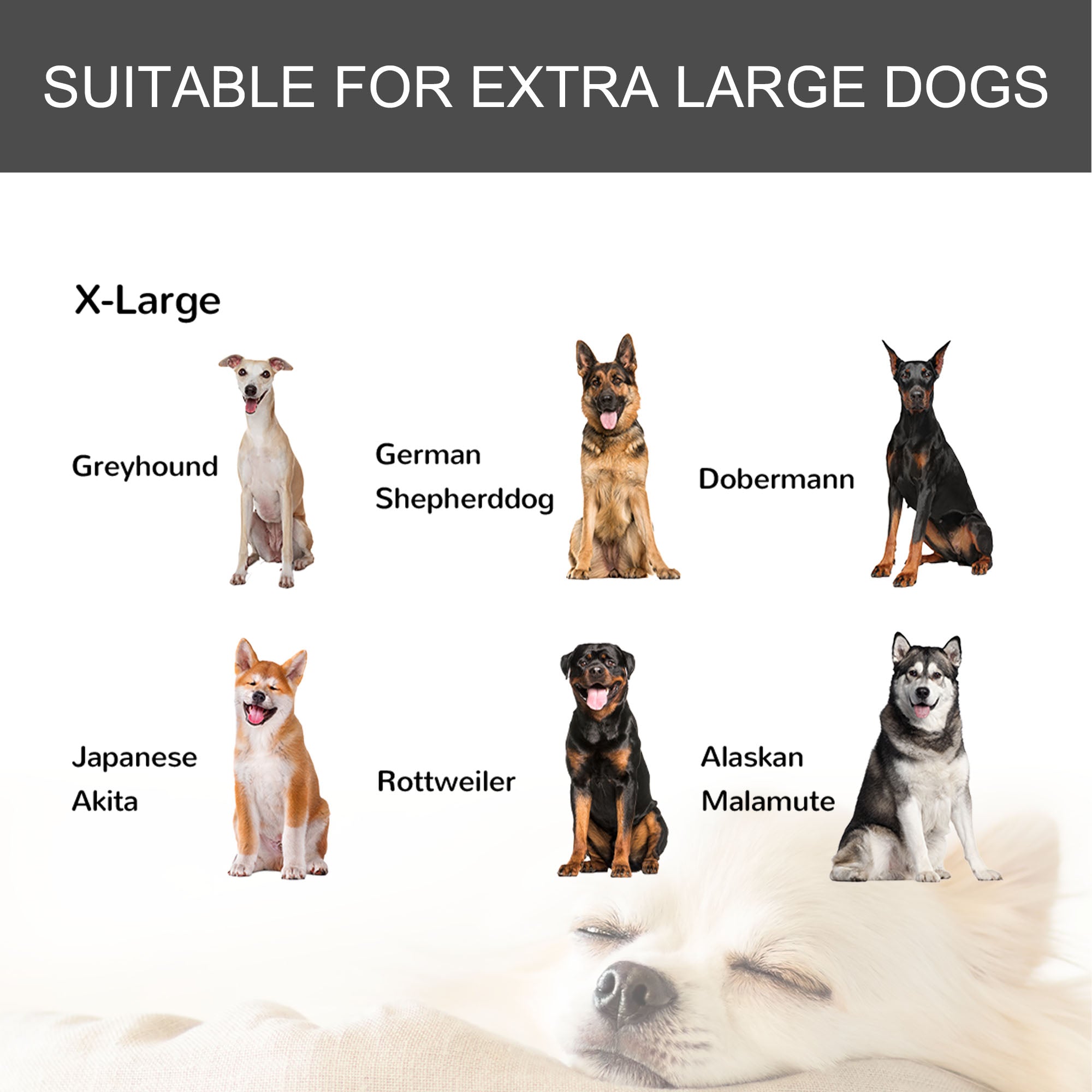 Kozy Metal Dog Cage Kennel Locking Door & Wheels Removable Tray Openable Top For Extra Large Pets 125 x 76 x 81 cm