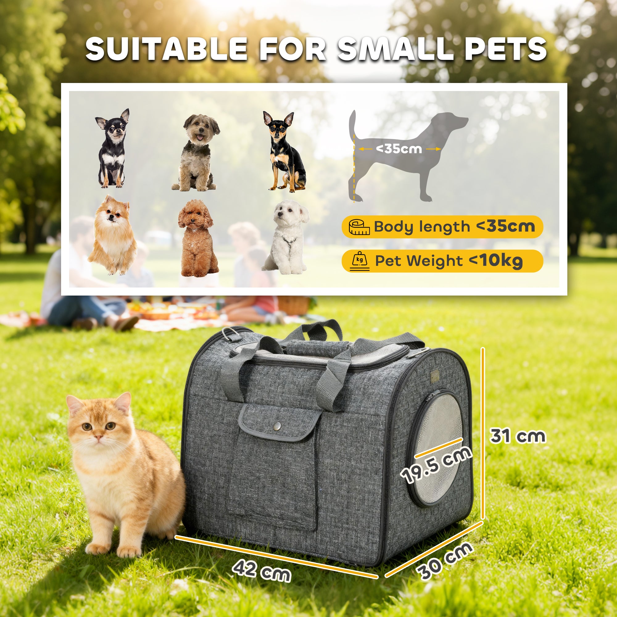 Kozy Soft Sided Cat Carrier Bag, Portable Foldable Pet Carrier with Shoulder Strap & Removable Mat for Small Pet Up to 10kg