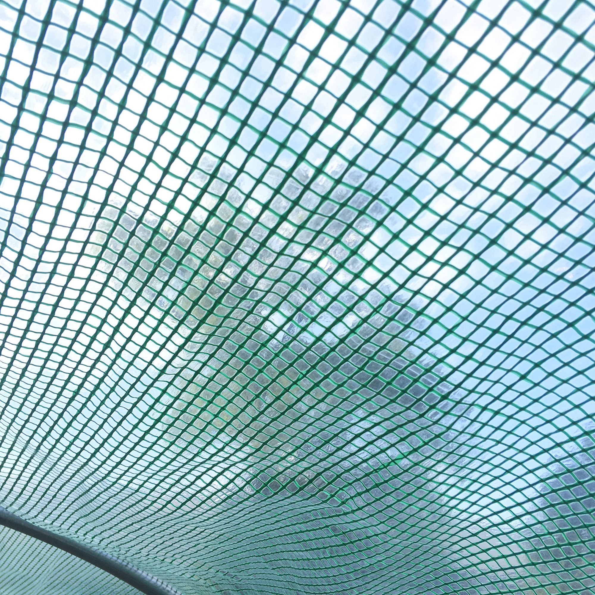 Kozy Large Polytunnel Walk In Greenhouse, Plant Gardening Tunnel Green House with Metal Hinged Door, Galvanised Steel Frame & Mesh Windows, Green (3 x 6 m)