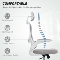 Kozy Mesh Back Office Chair, with Lumbar Support - Grey