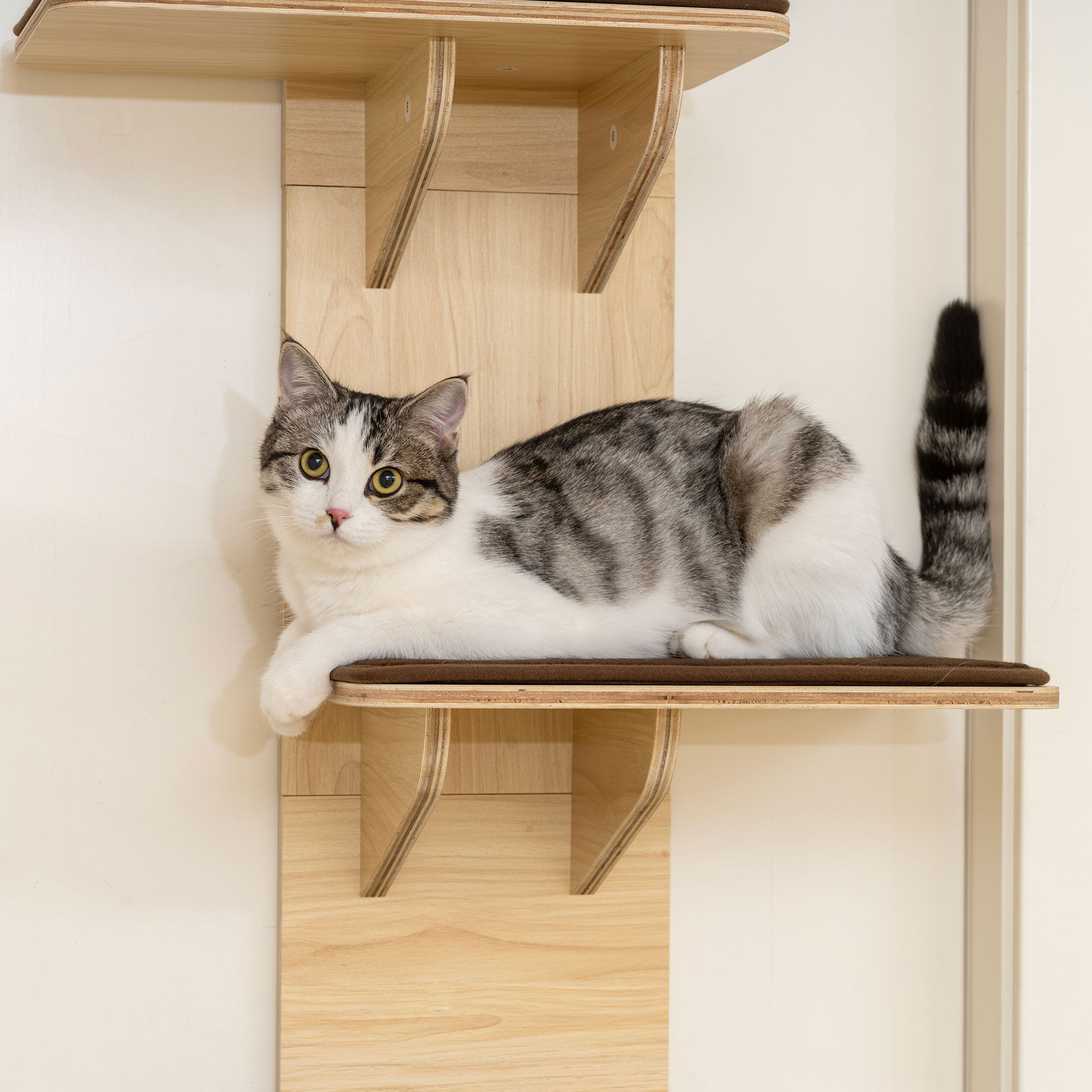 Kozy - 4-Level Door Mounted Cat Tree with Washable Plush Mats, Toy Balls, Door Hanging Cat Shelf for Indoor Cats
