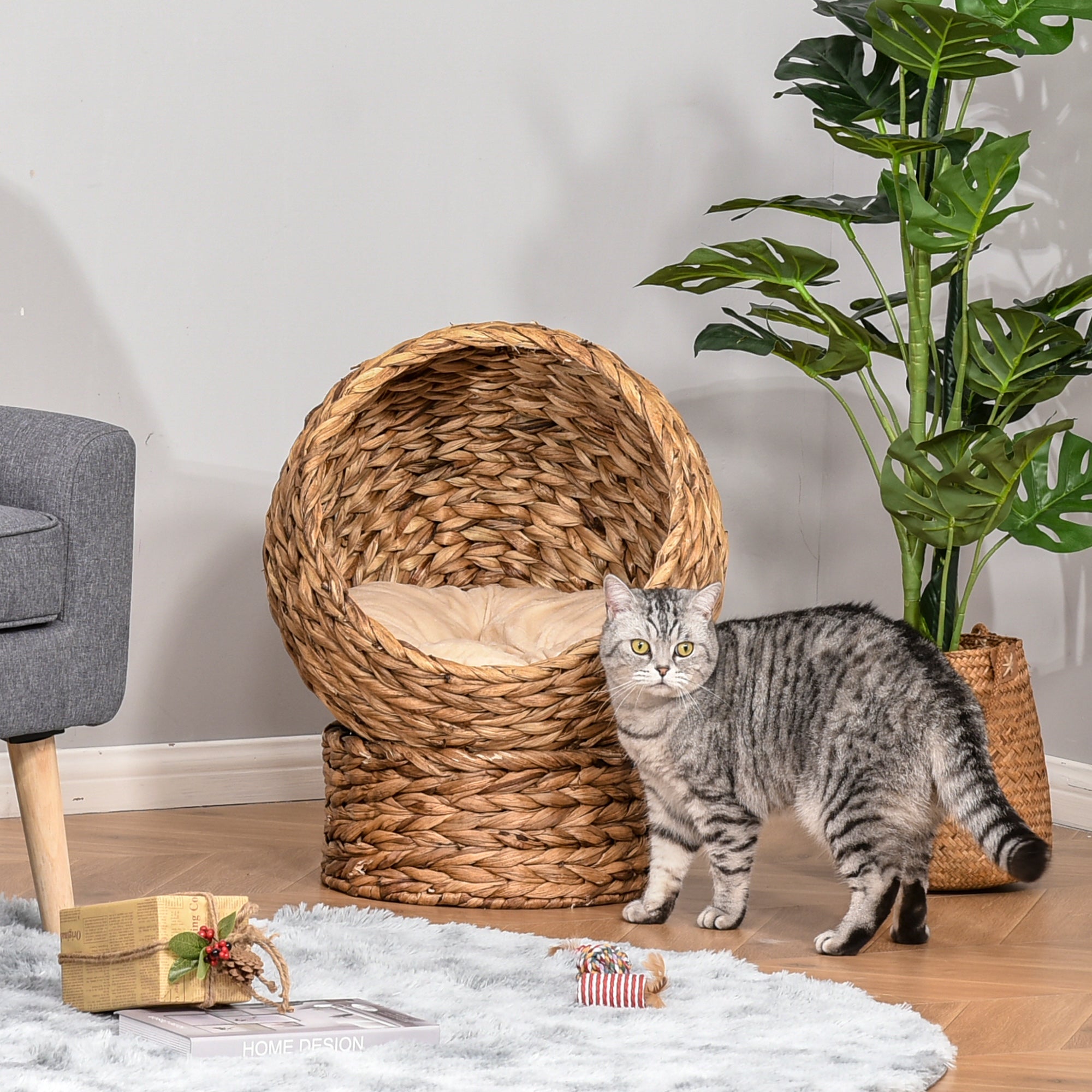 Kozy - Wicker Cat Bed, Raised Rattan Cat Basket with Cylindrical Base, Soft Washable Cushion, 40 x 37 x 51 cm - Brown
